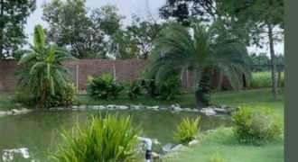 BEDIAN ROAD FARMHOUSE 134