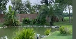 BEDIAN ROAD FARMHOUSE 134