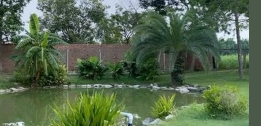 BEDIAN ROAD FARMHOUSE 134
