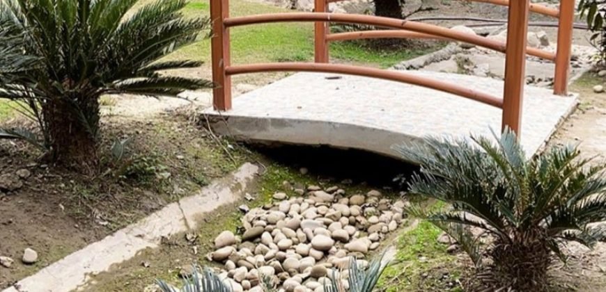 BEDIAN ROAD FARMHOUSE 134
