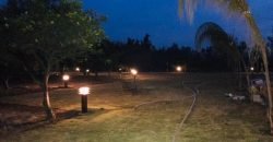 JAPAN ROAD  FARMHOUSE 80