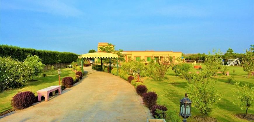 BEDIAN ROAD FARMHOUSE  148