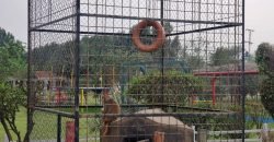 BEDIAN ROAD FARMHOUSE 66