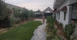 RAIWIND ROAD FARMHOUSE 47