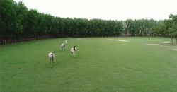 FAISALABAD FARMHOUSE 100