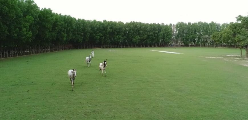 FAISALABAD FARMHOUSE 100