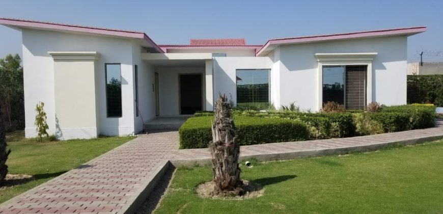 BARKI ROAD SWIMMING POOL 13