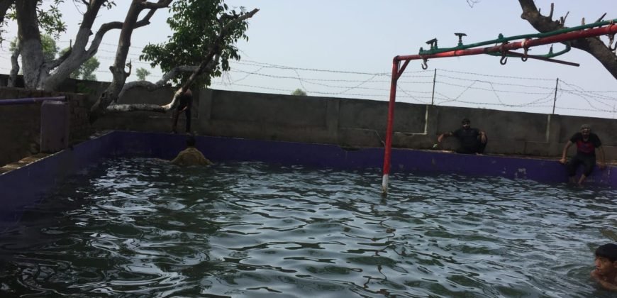 SHAHDARA SWIMMING POOL 77