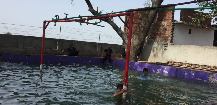 SHAHDARA SWIMMING POOL 77