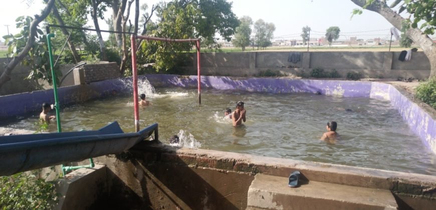 SHAHDARA SWIMMING POOL 77