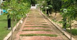 BEDIAN ROAD FARMHOUSE 40