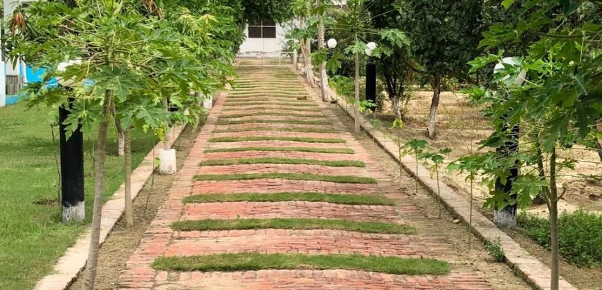 BEDIAN ROAD FARMHOUSE 40