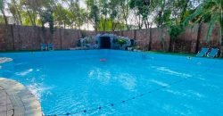 SWIMMING POOL VALENCIA 159