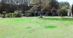 BEDIAN ROAD  FARMHOUSE 61