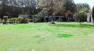 BEDIAN ROAD  FARMHOUSE 61