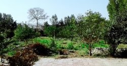 BEDIAN ROAD  FARMHOUSE 61