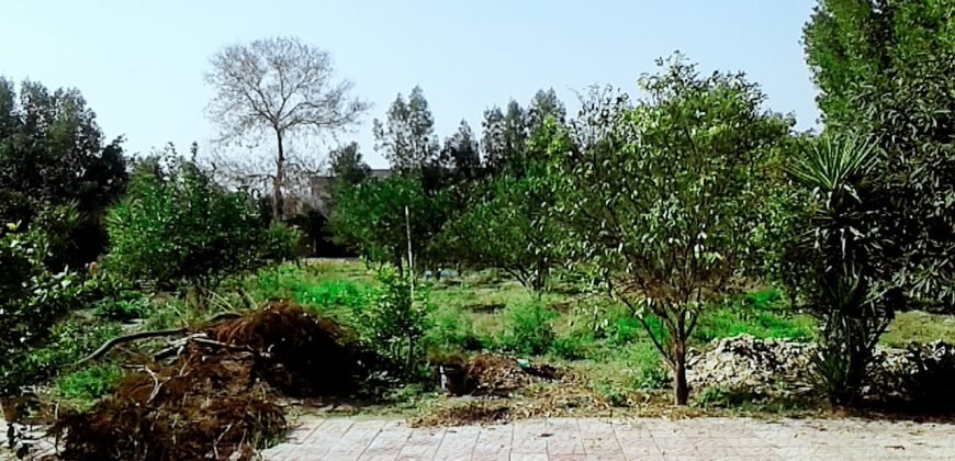BEDIAN ROAD  FARMHOUSE 61