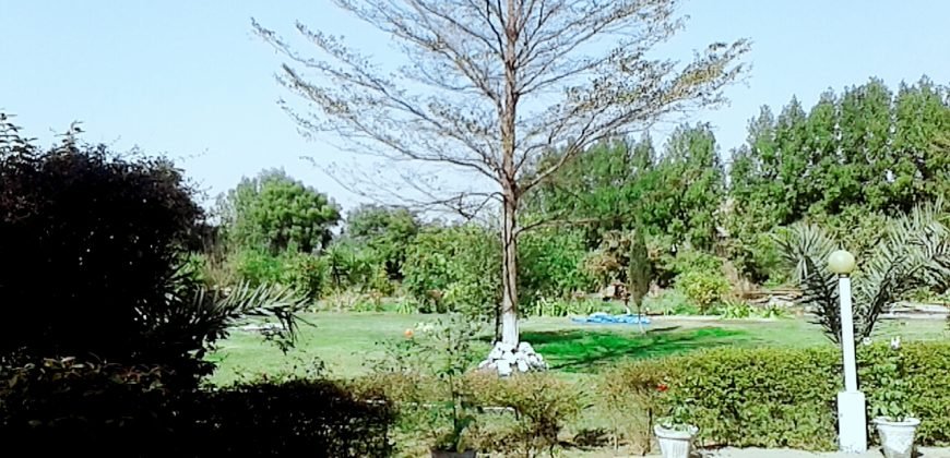 BEDIAN ROAD  FARMHOUSE 61