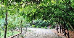 RAIWIND ROAD FARMHOUSE 88