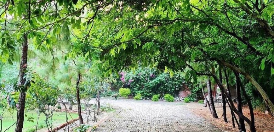 RAIWIND ROAD FARMHOUSE 88