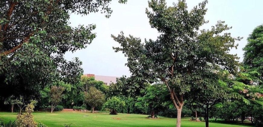 RAIWIND ROAD FARMHOUSE 88