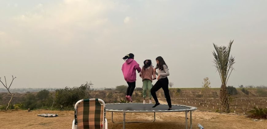 CHAKWAL  FARMHOUSE  131