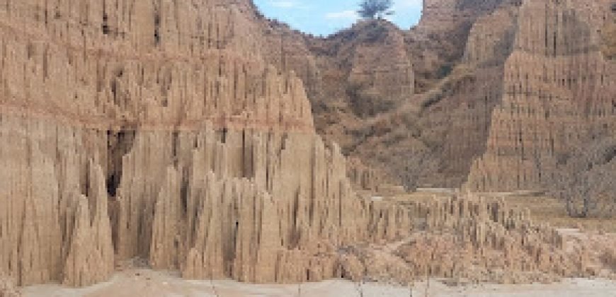 CHAKWAL  FARMHOUSE  131