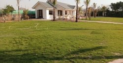 BARKI ROAD FARMHOUSE 161