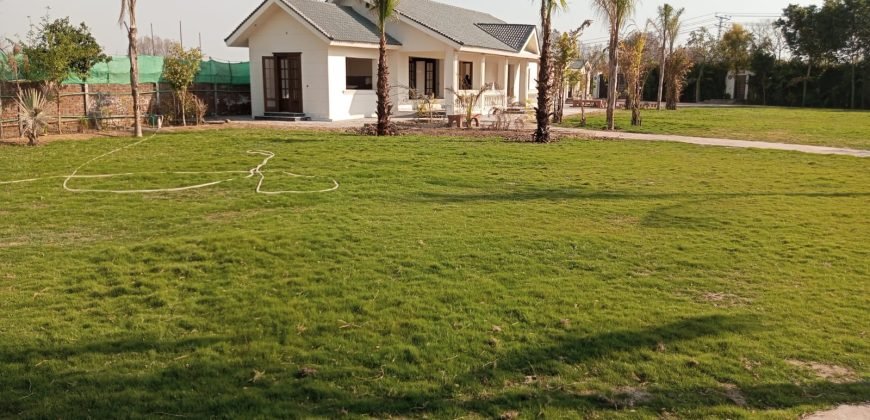 BARKI ROAD FARMHOUSE 161
