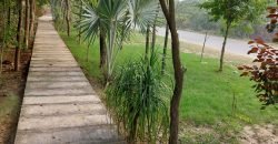 BARKI ROAD FARMHOUSE 161