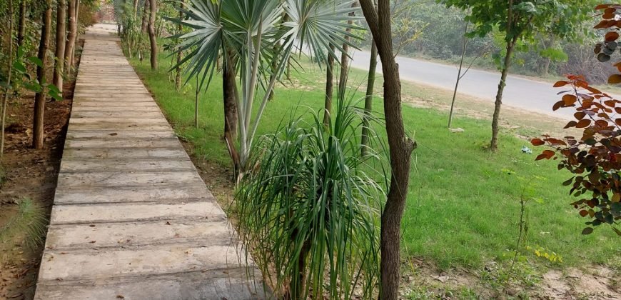 BARKI ROAD FARMHOUSE 161