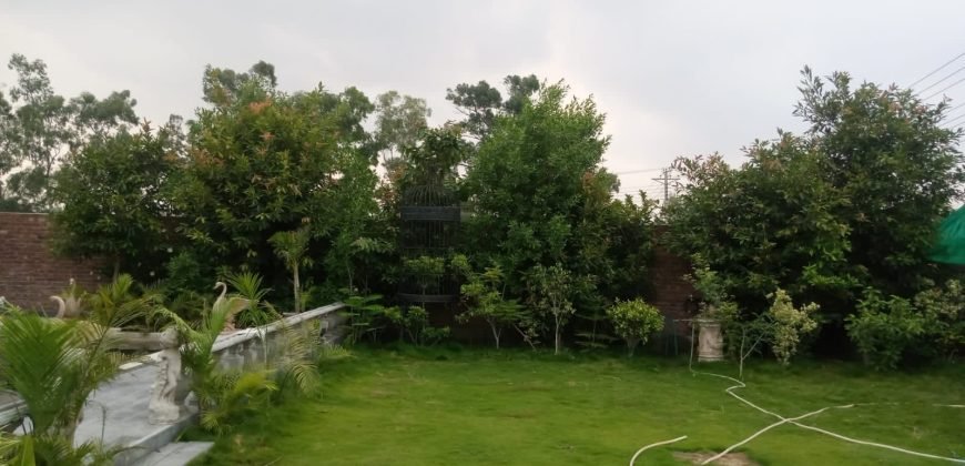 RAIWIND ROAD FARMHOUSE 136