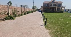 BEDIAN ROAD 49