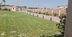 BEDIAN ROAD 49