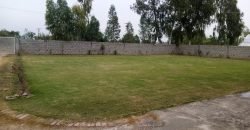 GULBERG FARMHOUSE 16