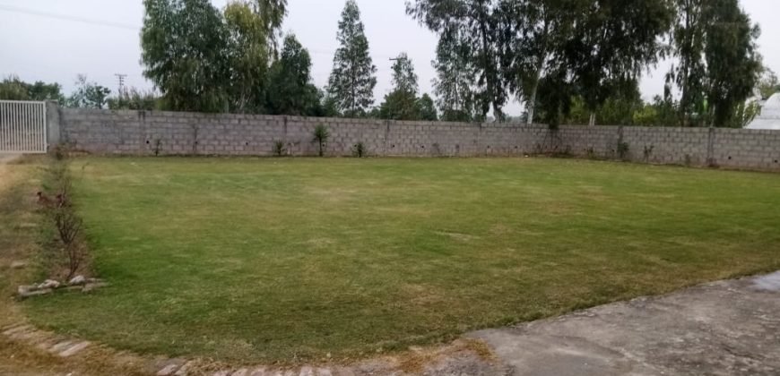 GULBERG FARMHOUSE 16