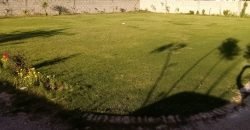 GULBERG FARMHOUSE 16