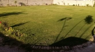 GULBERG FARMHOUSE 16