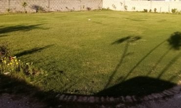 GULBERG FARMHOUSE 16