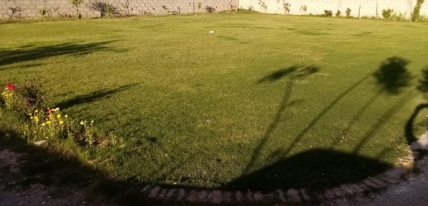 GULBERG FARMHOUSE 16