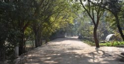 BEDIAN ROAD  FARMHOUSE 59