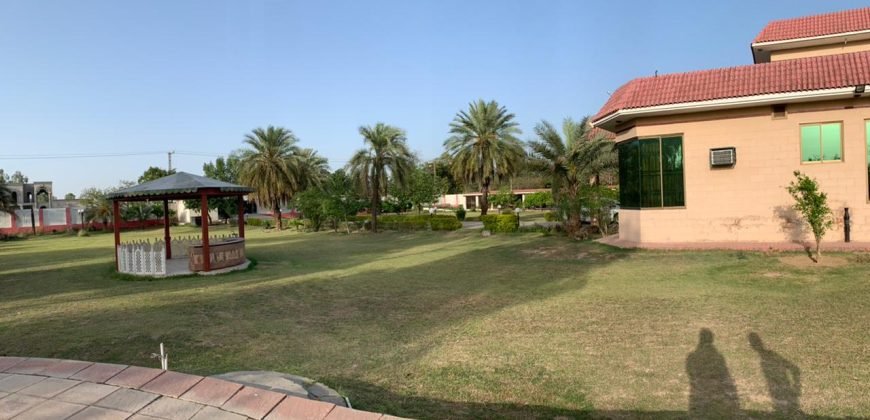 RAIWIND ROAD FARMHOUSE 22