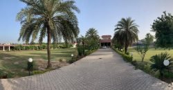 RAIWIND ROAD FARMHOUSE 22