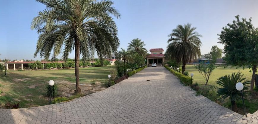 RAIWIND ROAD FARMHOUSE 22