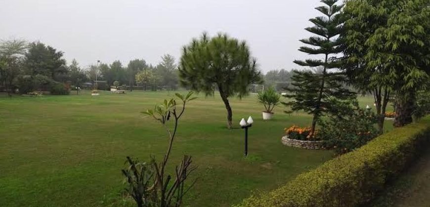 BARKI ROAD FARMHOUSE 20