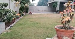 DHA FARMHOUSE 60