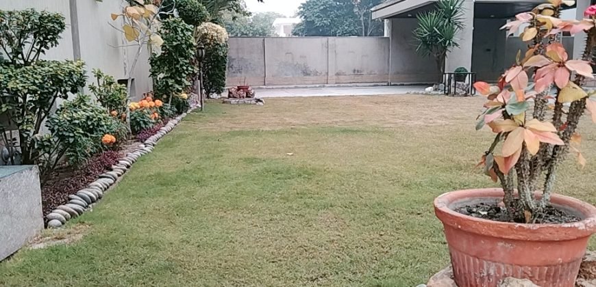 DHA FARMHOUSE 60