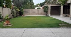 DHA FARMHOUSE 60