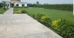 BARKI ROAD FARMHOUSE  07