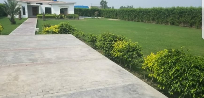 BARKI ROAD FARMHOUSE  07